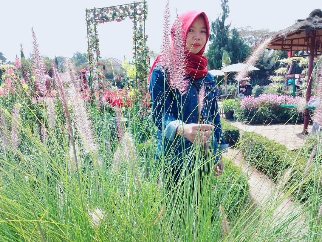 Ini Dia Foto Foto Keren Kebun Begonia Lembang 2