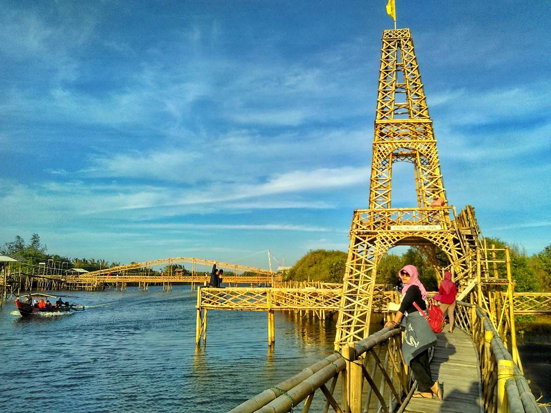 Hutan Mangrove Kulon Progo Yogyakarta 10 Hutan Mangrove Kulon Progo Yogyakarta 10