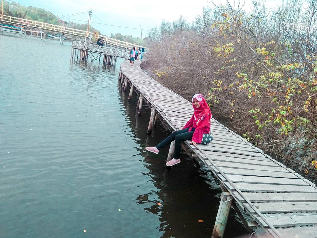Hutan Mangrove Kulon Progo Yogyakarta 9 Hutan Mangrove Kulon Progo Yogyakarta 9