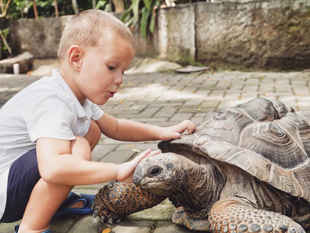 Kebun Binatang Gembira Loka Jogja 7 Kebun Binatang Gembira Loka Jogja 7