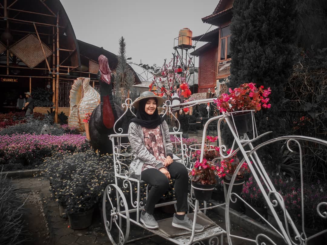 Ini Dia Foto Foto Keren Kebun Begonia Lembang 9