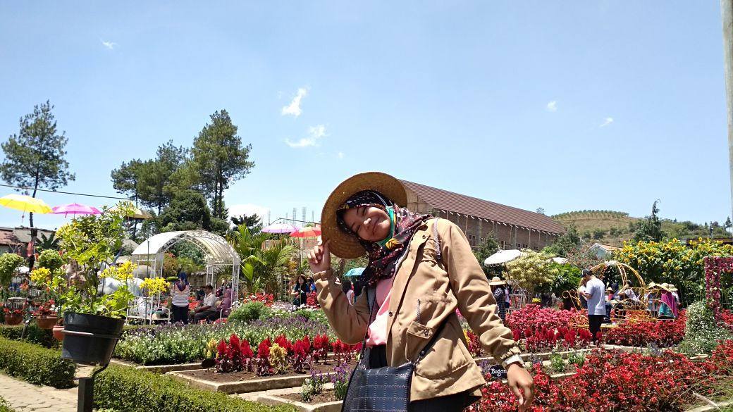 Ini Dia Foto Foto Keren Kebun Begonia Lembang 8