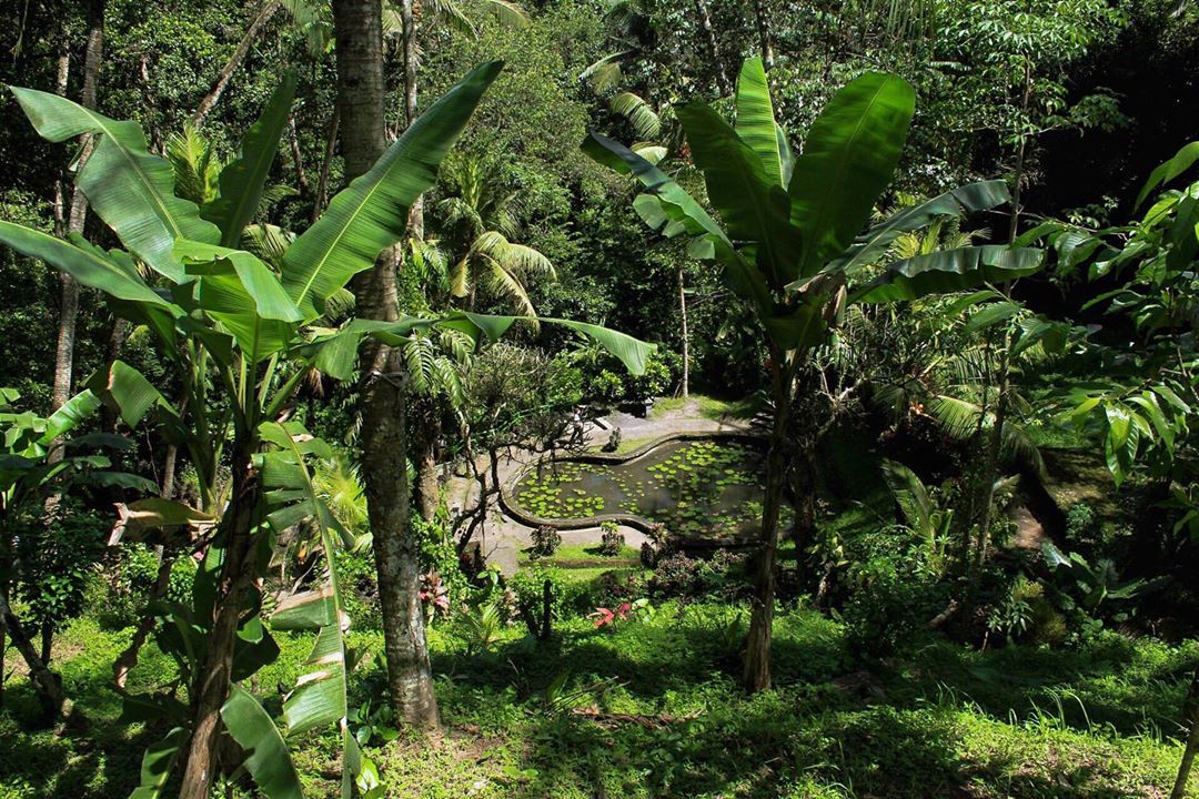 Wisata Goa Gajah Ubud Gianyar Bali 5