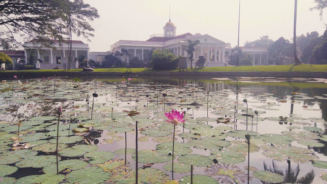 Istana Bogor Dibuka Untuk Umum? 3