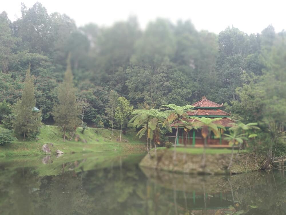 Istana Bogor Dibuka Untuk Umum? 4