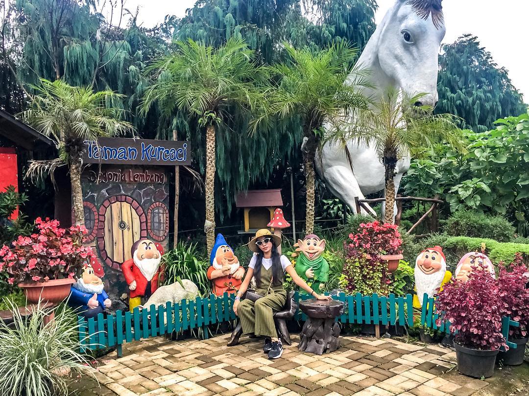 Ini Dia Foto Foto Keren Kebun Begonia Lembang 6