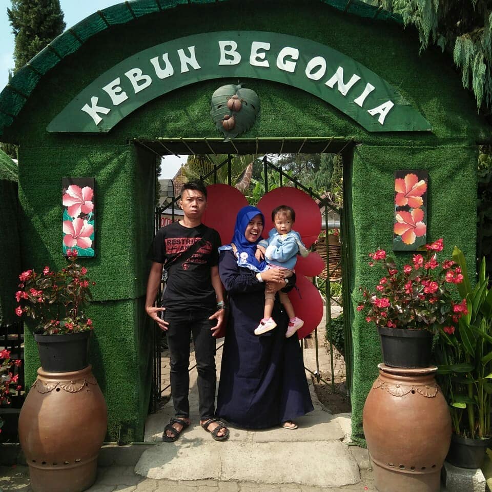 Ini Dia Foto Foto Keren Kebun Begonia Lembang 3