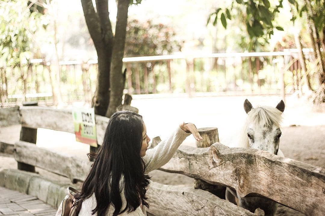 Kebun Binatang Gembira Loka Jogja 10 Kebun Binatang Gembira Loka Jogja 10