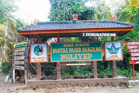 Keindahan Pantai Ngliyep Kecamatan Donomulyo Kabupaten Malang dan Berapa Harga Tiket Masuknya? 8