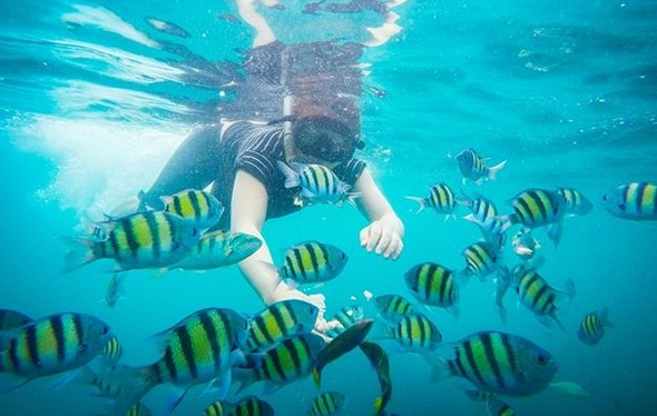 Menikmati Indahnya Alam Bawah Laut Pulau Sepa, Deket Kok Dari Jakarta 7