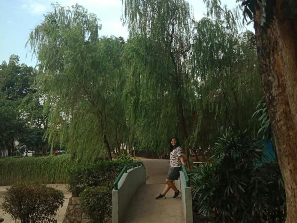 Taman Langsat Jakarta Selatan 10