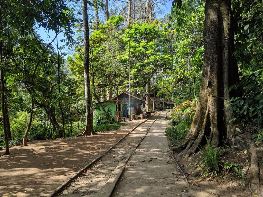 Naik Angkot Ke Taman Hutan Raya Juanda Bandung 2 Naik Angkot Ke Taman Hutan Raya Juanda Bandung 2