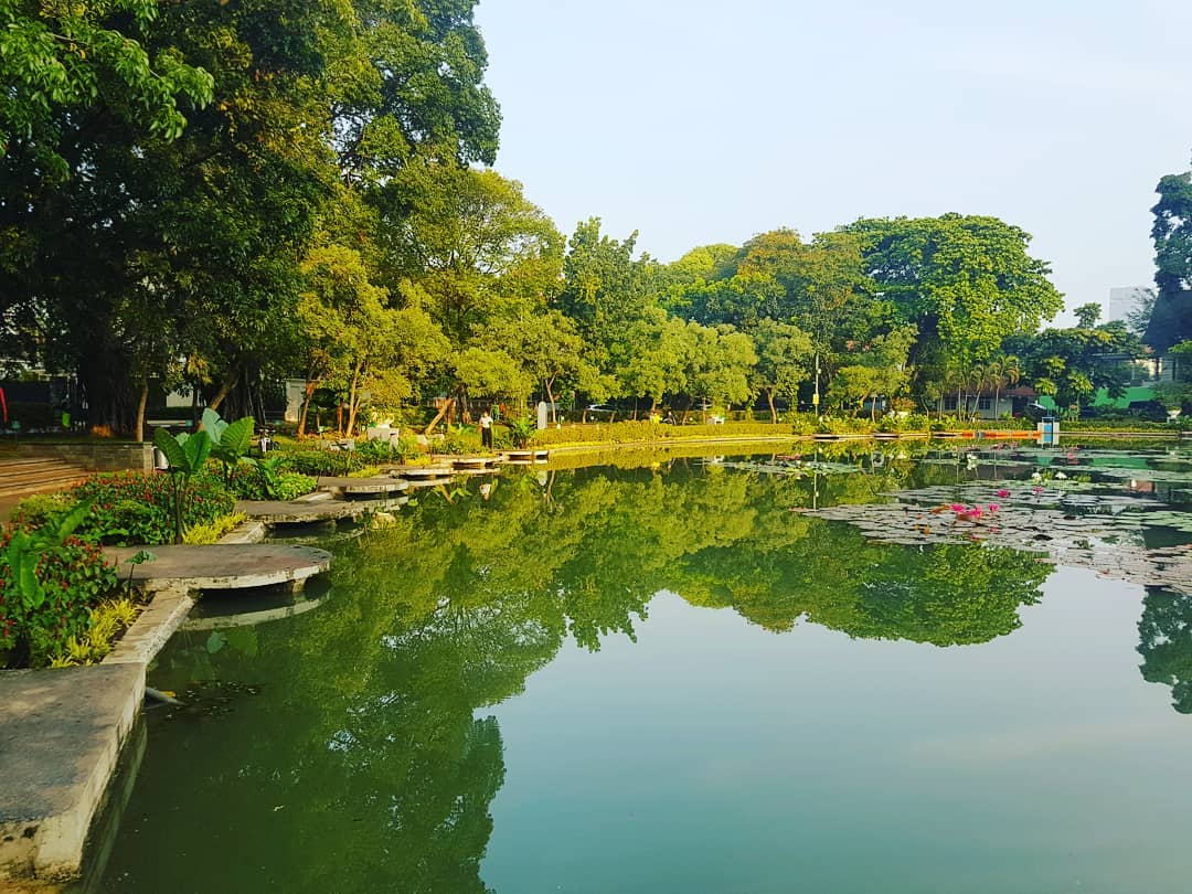 Taman Situ Lembang Menteng Jakarta Pusat 2 Taman Situ Lembang Menteng Jakarta Pusat 2