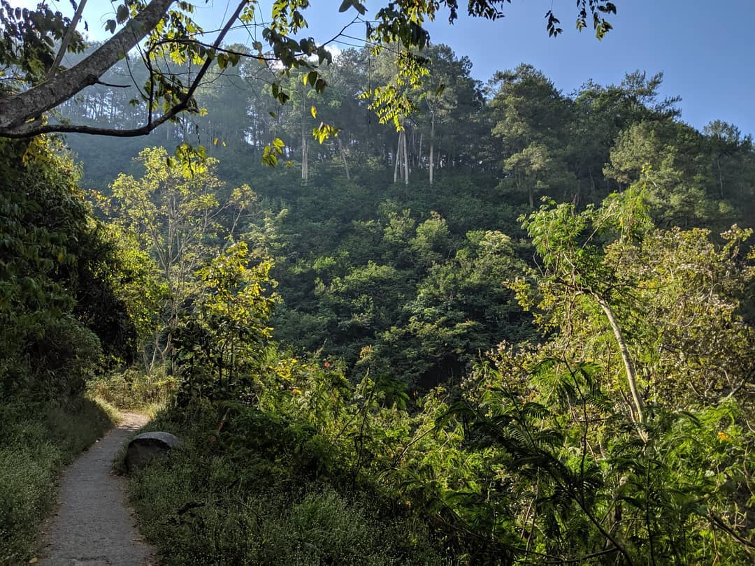 Naik Angkot Ke Taman Hutan Raya Juanda Bandung 3 Naik Angkot Ke Taman Hutan Raya Juanda Bandung 3