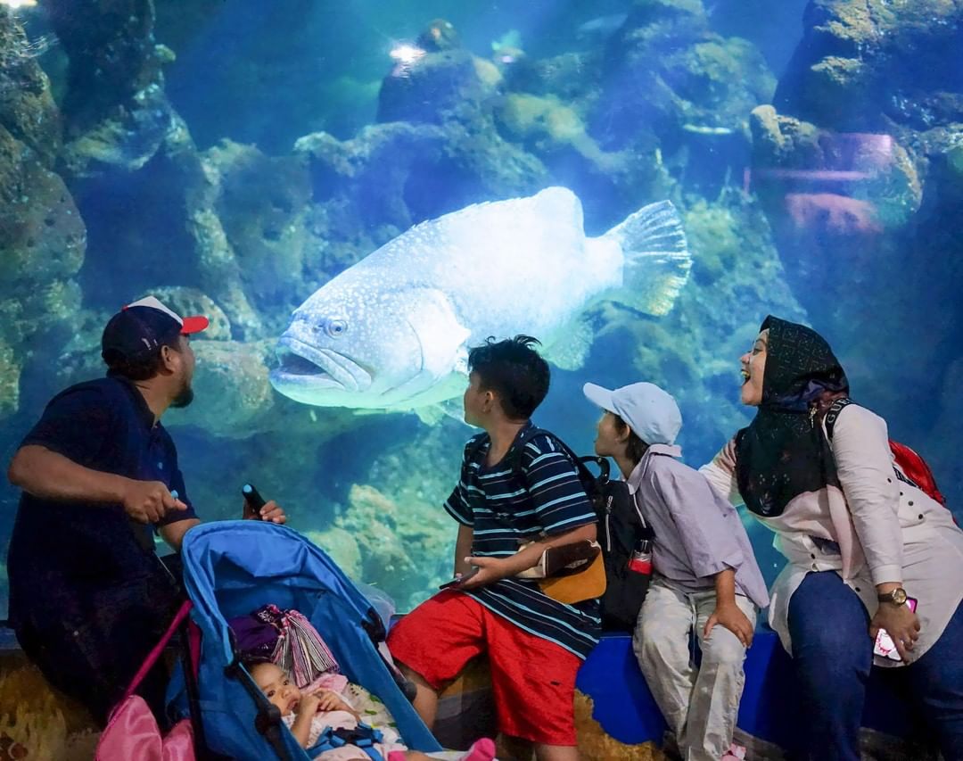 Seaworld Ancol Jakarta Utara 4 Seaworld Ancol Jakarta Utara 4