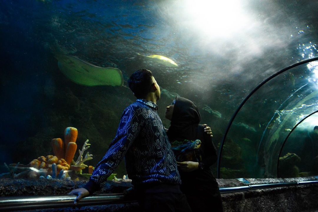 Seaworld Ancol Jakarta Utara 5 Seaworld Ancol Jakarta Utara 5