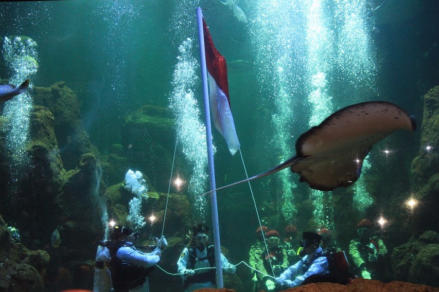 Seaworld Ancol Jakarta Utara 8 Seaworld Ancol Jakarta Utara 8