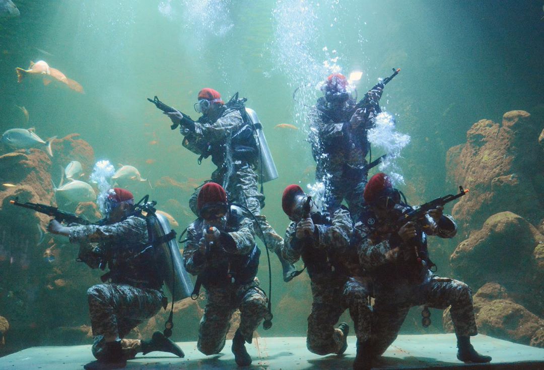 Seaworld Ancol Jakarta Utara 7 Seaworld Ancol Jakarta Utara 7