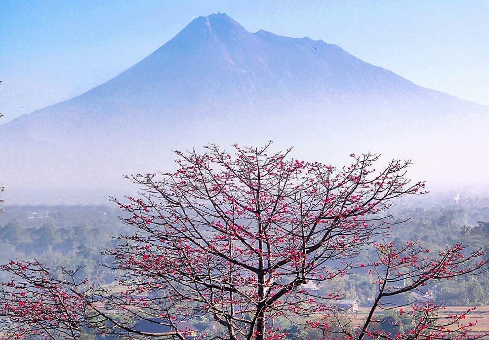 Berapa Harga Tiket Masuk Candi Abang Jogja? 5