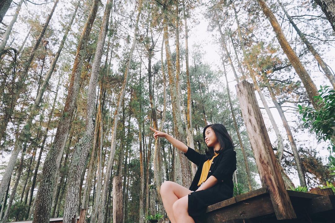 Naik Angkot Ke Taman Hutan Raya Juanda Bandung 6 Naik Angkot Ke Taman Hutan Raya Juanda Bandung 6