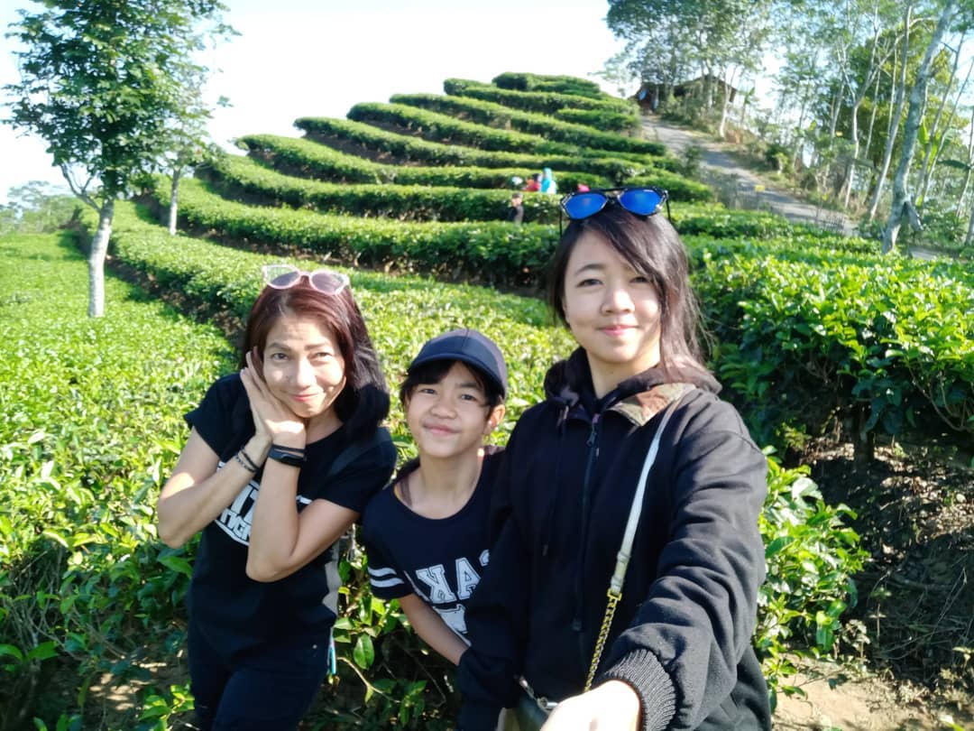 Jalan Menuju Kebun Teh Nglinggo Kulon Progo 4 Jalan Menuju Kebun Teh Nglinggo Kulon Progo 4