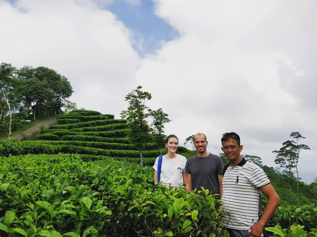 Jalan Menuju Kebun Teh Nglinggo Kulon Progo 6 Jalan Menuju Kebun Teh Nglinggo Kulon Progo 6