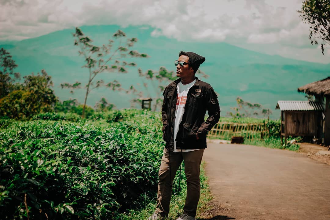 Jalan Menuju Kebun Teh Nglinggo Kulon Progo 1 Jalan Menuju Kebun Teh Nglinggo Kulon Progo 1