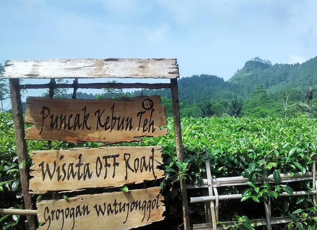 Jalan Menuju Kebun Teh Nglinggo Kulon Progo 7 Jalan Menuju Kebun Teh Nglinggo Kulon Progo 7