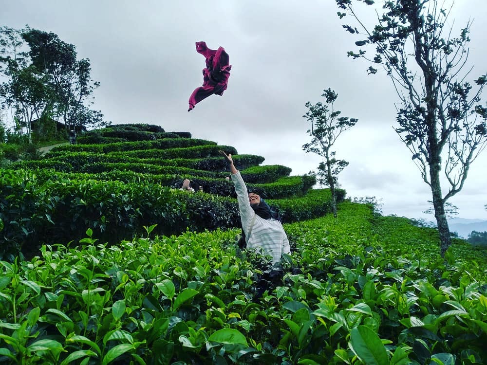 Jalan Menuju Kebun Teh Nglinggo Kulon Progo 9 Jalan Menuju Kebun Teh Nglinggo Kulon Progo 9