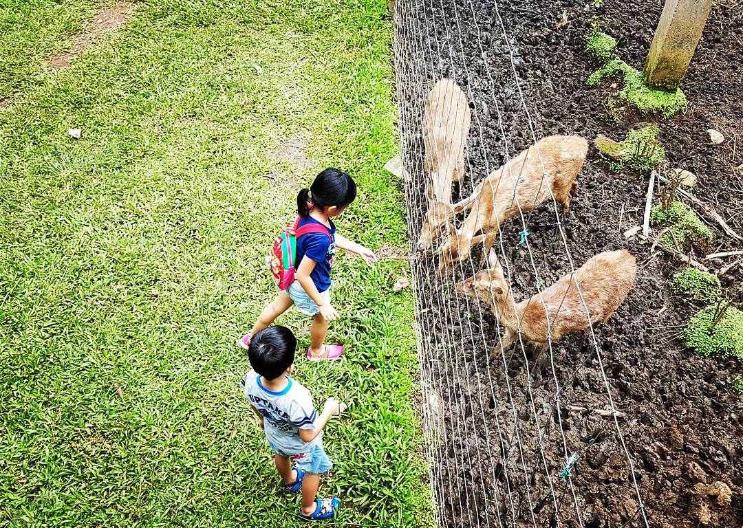 Naik Angkot Ke Taman Hutan Raya Juanda Bandung 4 Naik Angkot Ke Taman Hutan Raya Juanda Bandung 4