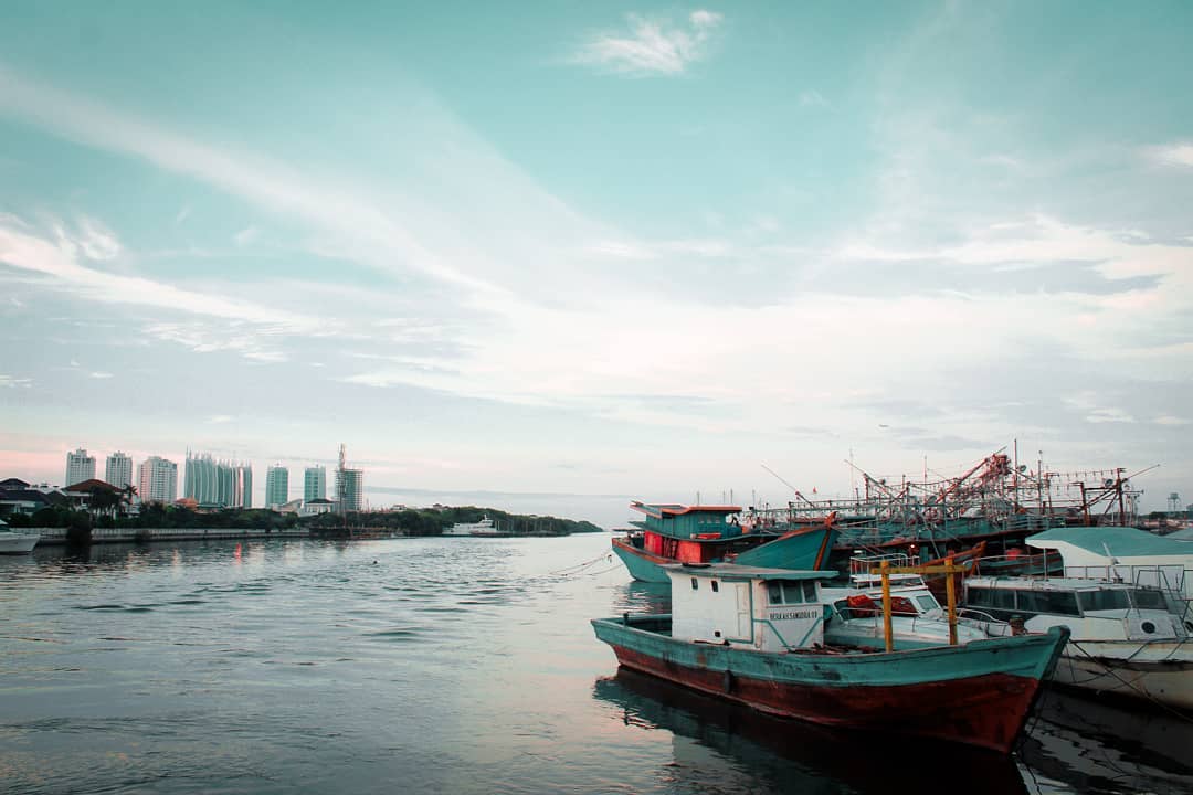 Waduk Pluit Jakarta Utara 5