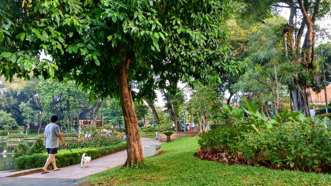 Taman Situ Lembang Menteng Jakarta Pusat 4 Taman Situ Lembang Menteng Jakarta Pusat 4