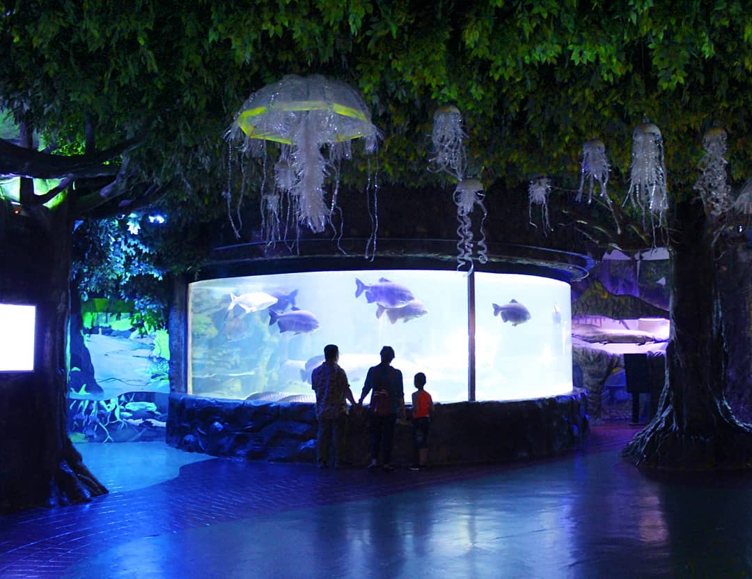 Seaworld Ancol Jakarta Utara 1 Seaworld Ancol Jakarta Utara 1