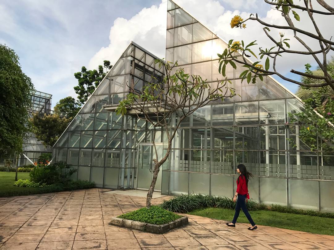 Taman Menteng Jakarta Pusat 6 Taman Menteng Jakarta Pusat 6