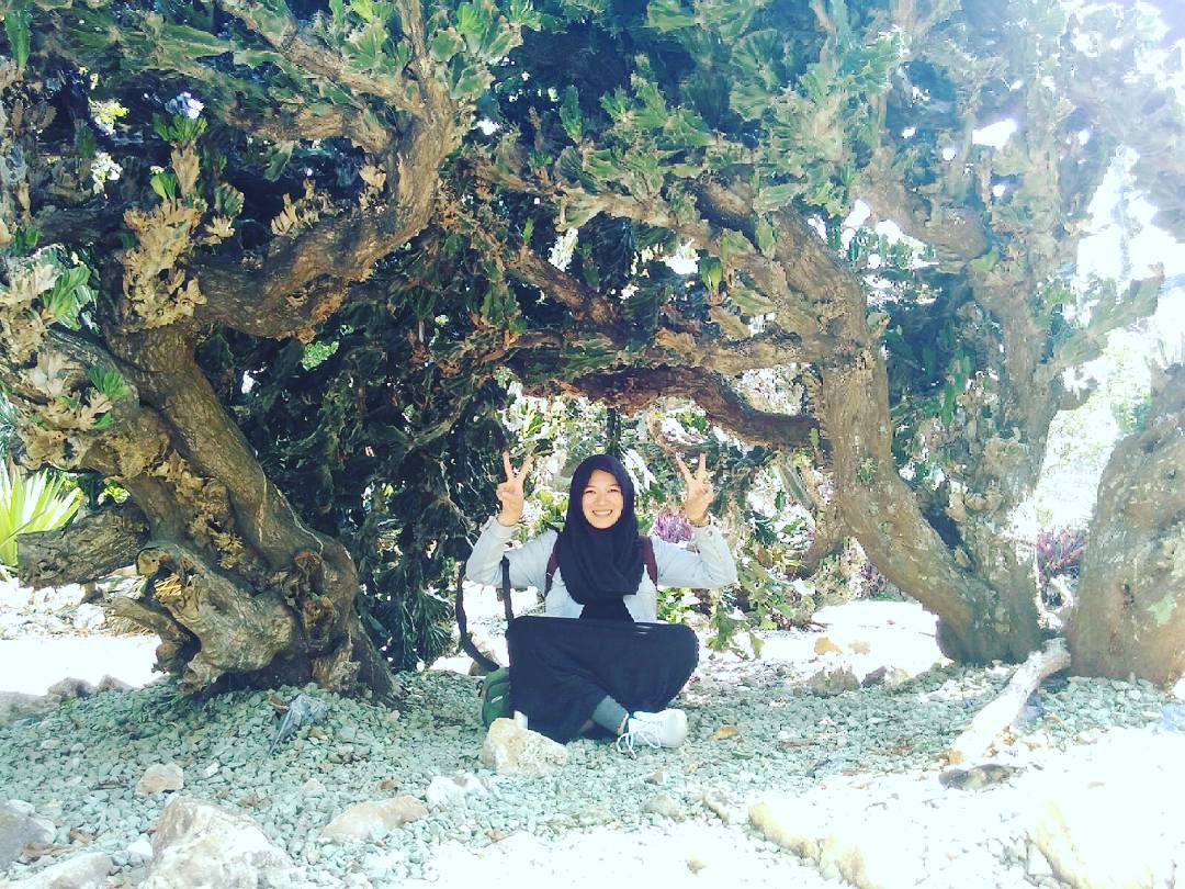 Taman Meksiko Kebun Raya Bogor 9 Taman Meksiko Kebun Raya Bogor 9