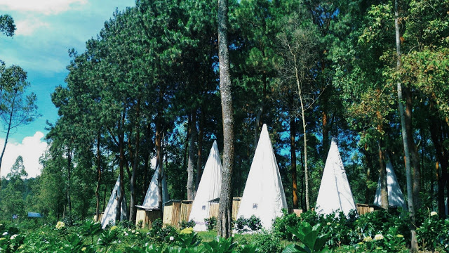 Ini Dia 10 Spot Foto Yang Akan Bikin Kamu Betah di Coban Talun 5