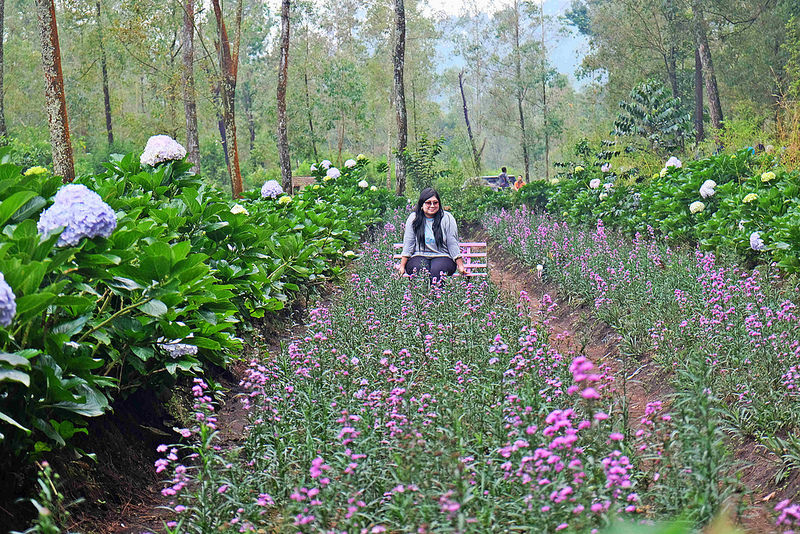 Ini Dia 10 Spot Foto Yang Akan Bikin Kamu Betah di Coban Talun 3