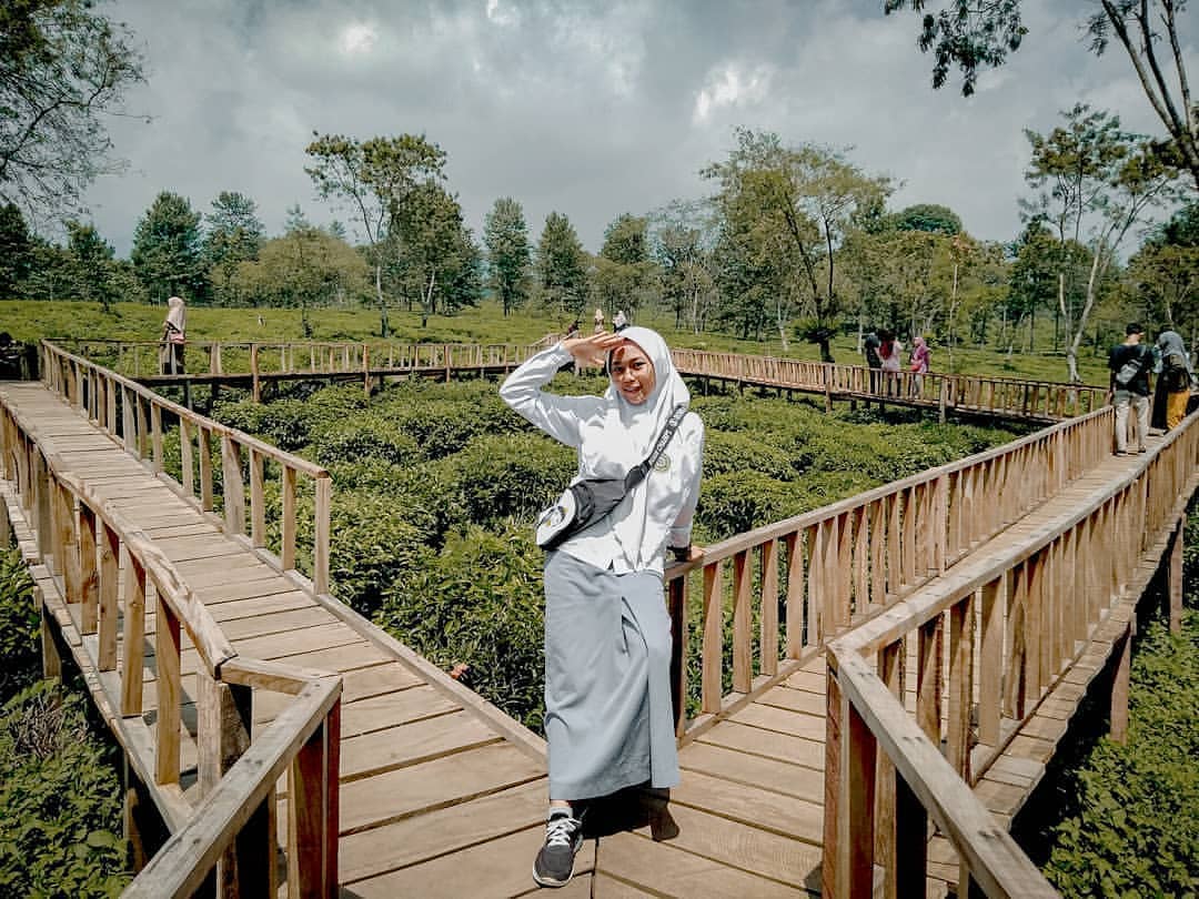 Buka Jam Berapa Wisata Agro Kebun Teh Wonosari Malang dan Harga Tiket Masuk Lokasi? 2