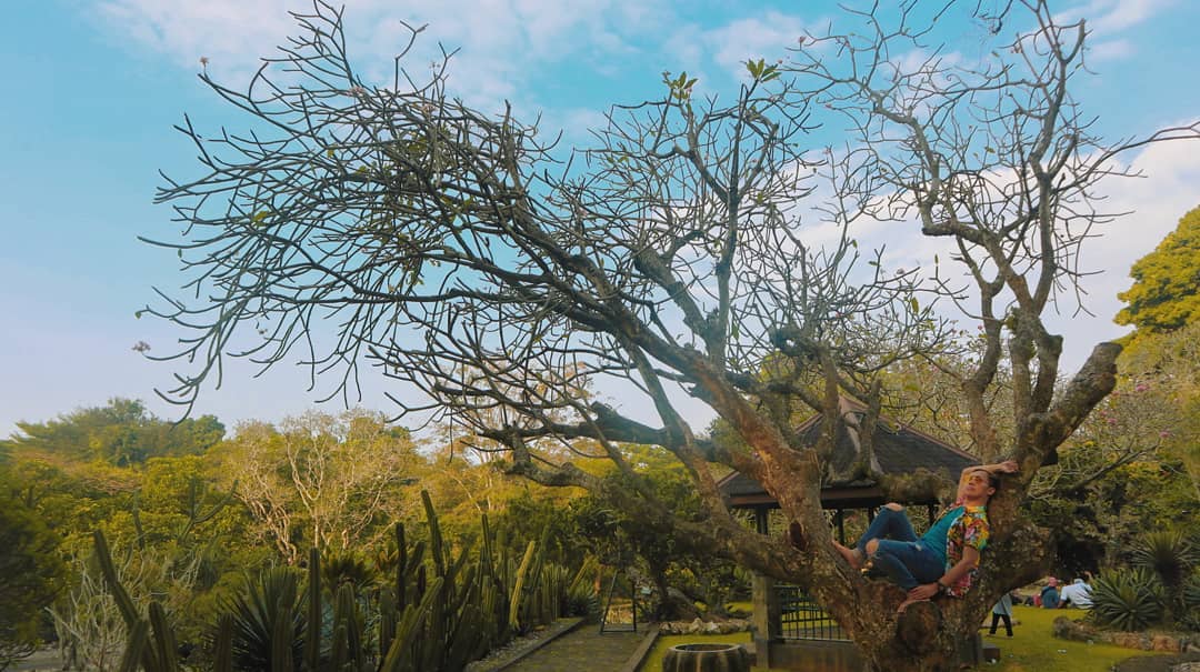 Taman Meksiko Kebun Raya Bogor 7 Taman Meksiko Kebun Raya Bogor 7