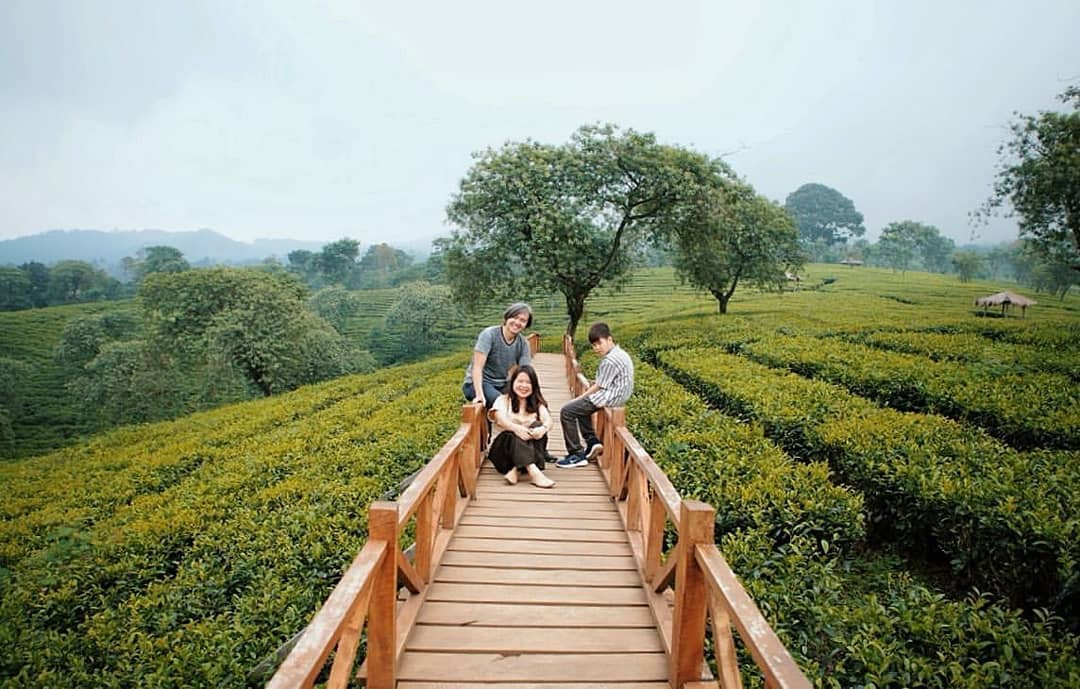 Buka Jam Berapa Wisata Agro Kebun Teh Wonosari Malang dan Harga Tiket Masuk Lokasi? 8