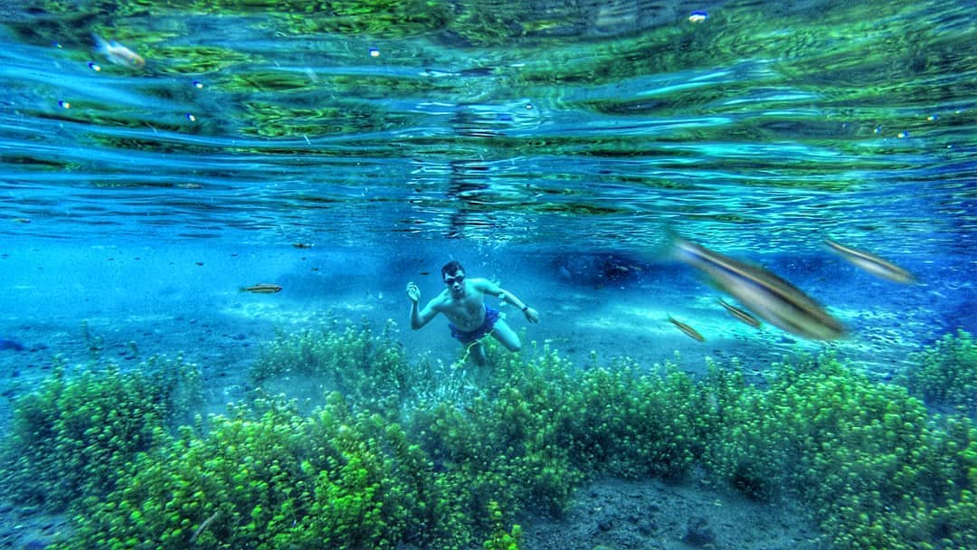 Jalan Menuju Ke Sumber Sirah Gondanglegi Malang Jika Kamu Dari Kediri Atau Tulungagung 2 Jalan Menuju Ke Sumber Sirah Gondanglegi Malang Jika Kamu Dari Kediri Atau Tulungagung 2