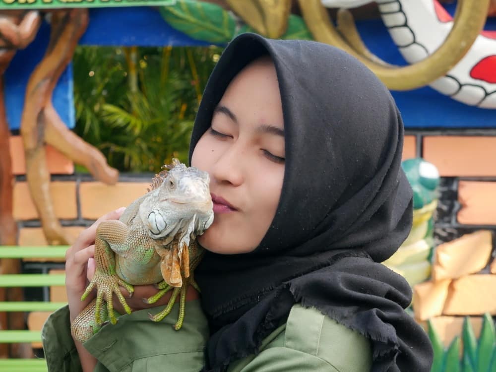 Predator Fun Park di Batu Jawa Timur 9