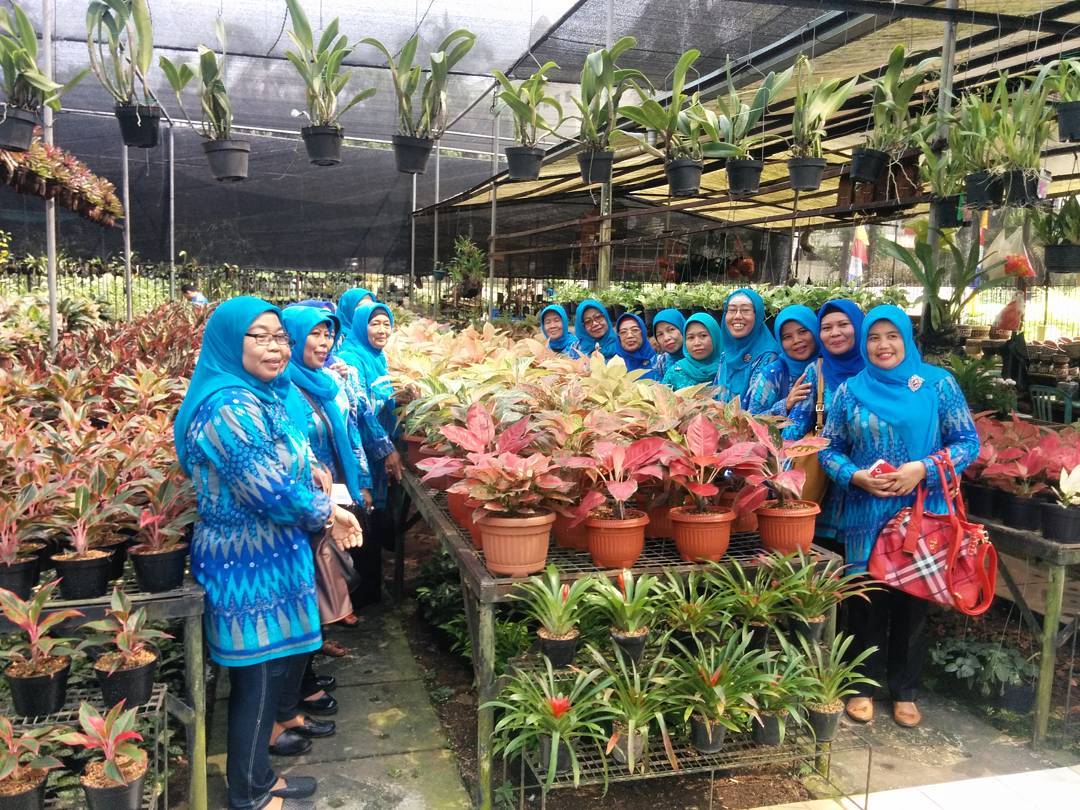 Taman Anggrek Ragunan Jakarta Selatan 1 Taman Anggrek Ragunan Jakarta Selatan 1