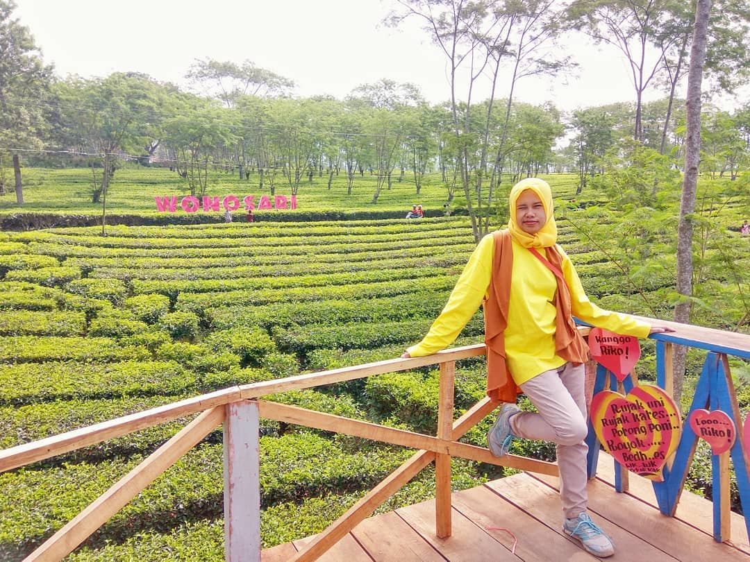 Buka Jam Berapa Wisata Agro Kebun Teh Wonosari Malang dan Harga Tiket Masuk Lokasi? 5