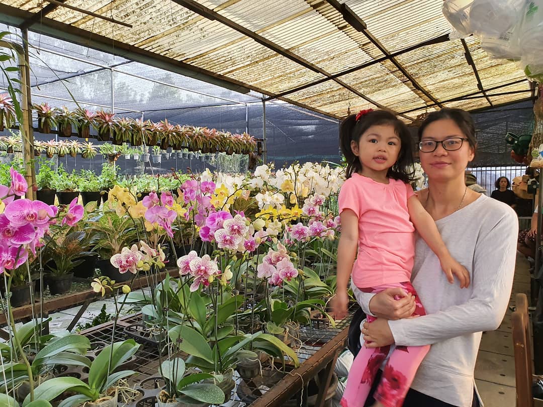 Taman Anggrek Ragunan Jakarta Selatan 8 Taman Anggrek Ragunan Jakarta Selatan 8