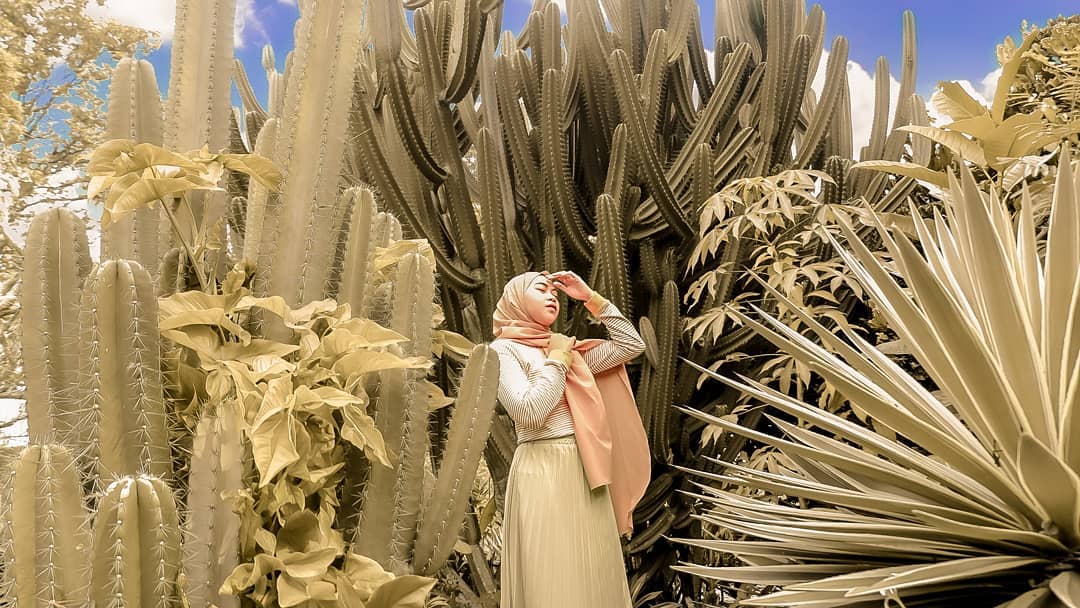 Taman Meksiko Kebun Raya Bogor 4 Taman Meksiko Kebun Raya Bogor 4