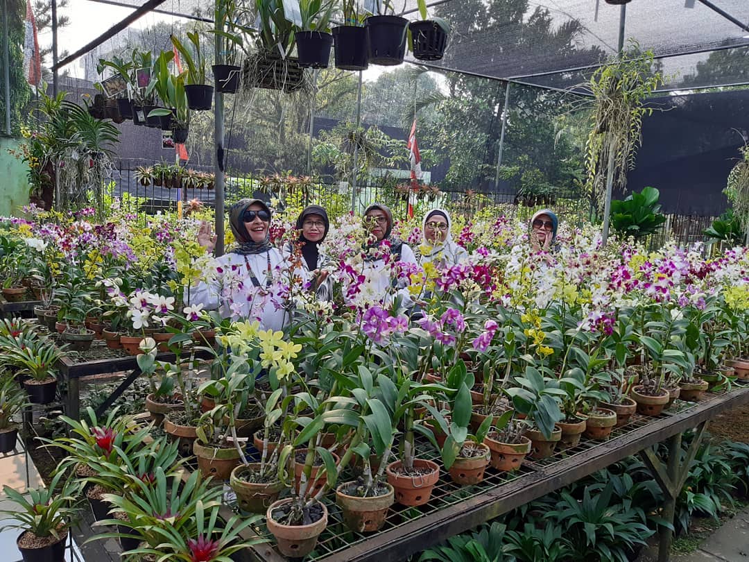 Taman Anggrek Ragunan Jakarta Selatan 2 Taman Anggrek Ragunan Jakarta Selatan 2
