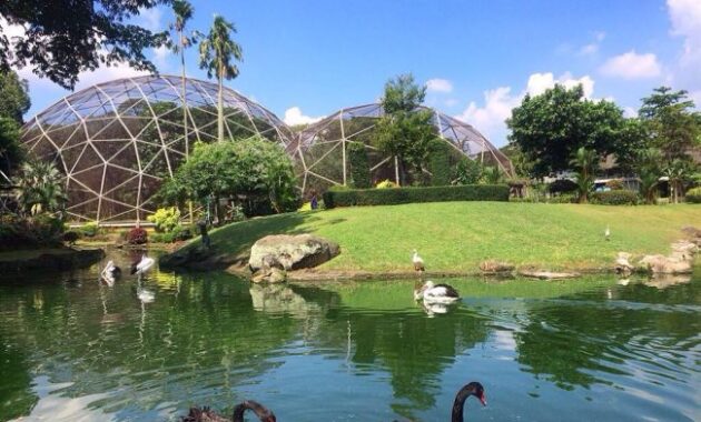 Taman Burung TMII Jakarta 4