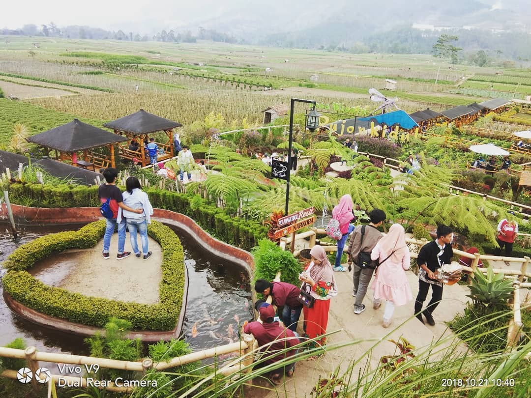 Kafe Unik di Malang, Cafe Sawah Pujon Kidul Namanya 9