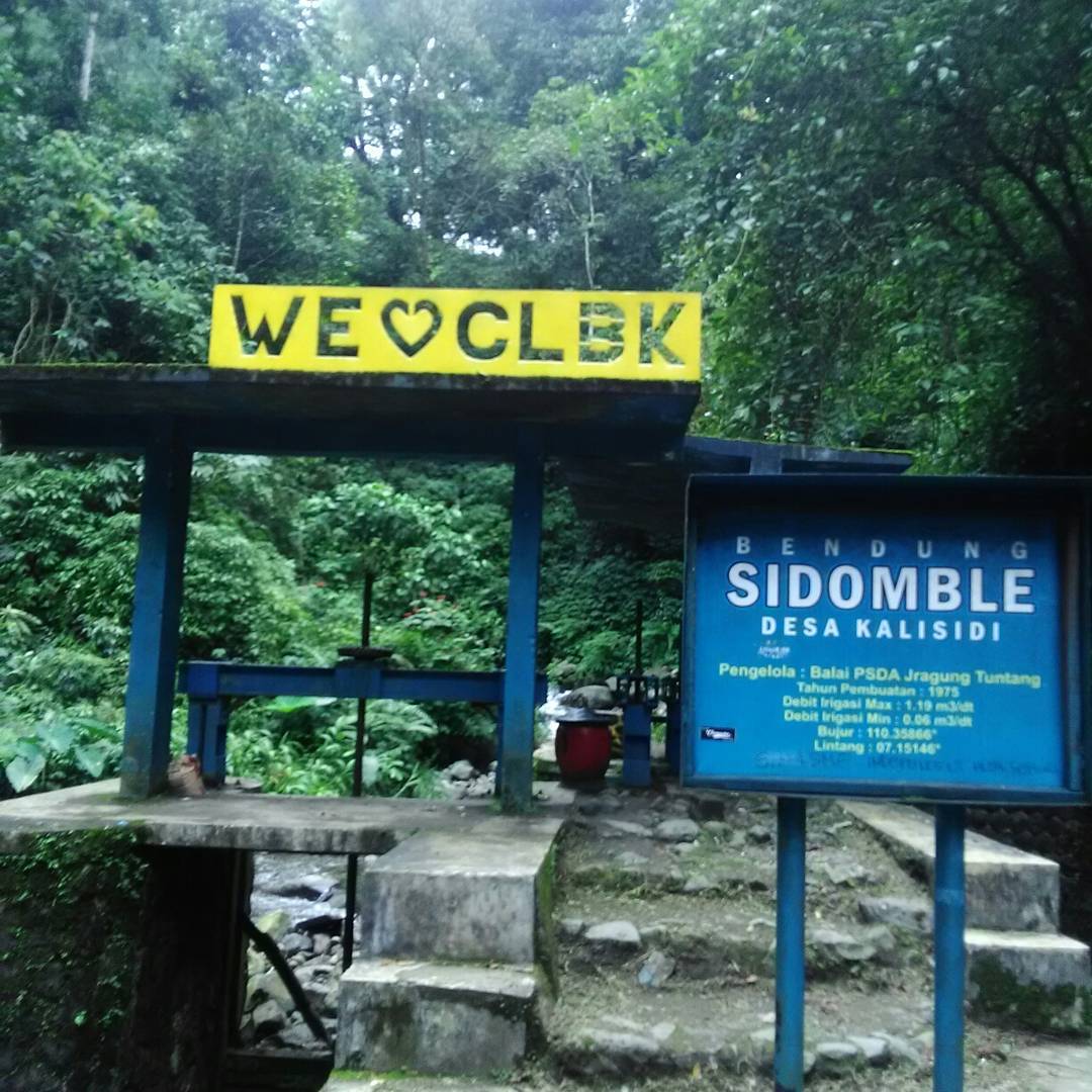 Tidak Hanya di Lokasi, Sepanjang Perjalanan Menuju Curug Lawe Juga Bagus Pemandangannya 9